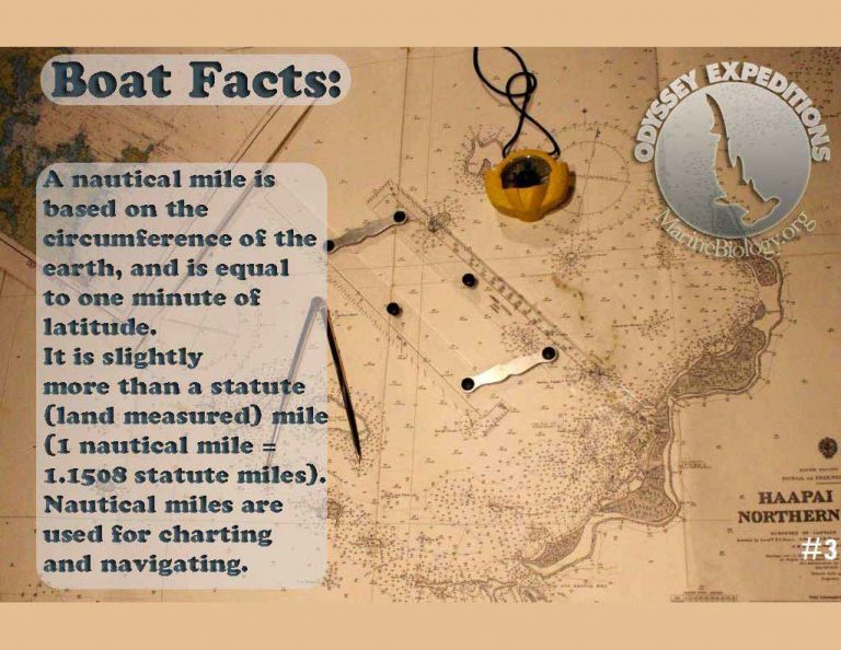 facts_Nautical_Mile Marine Biology Learning Center